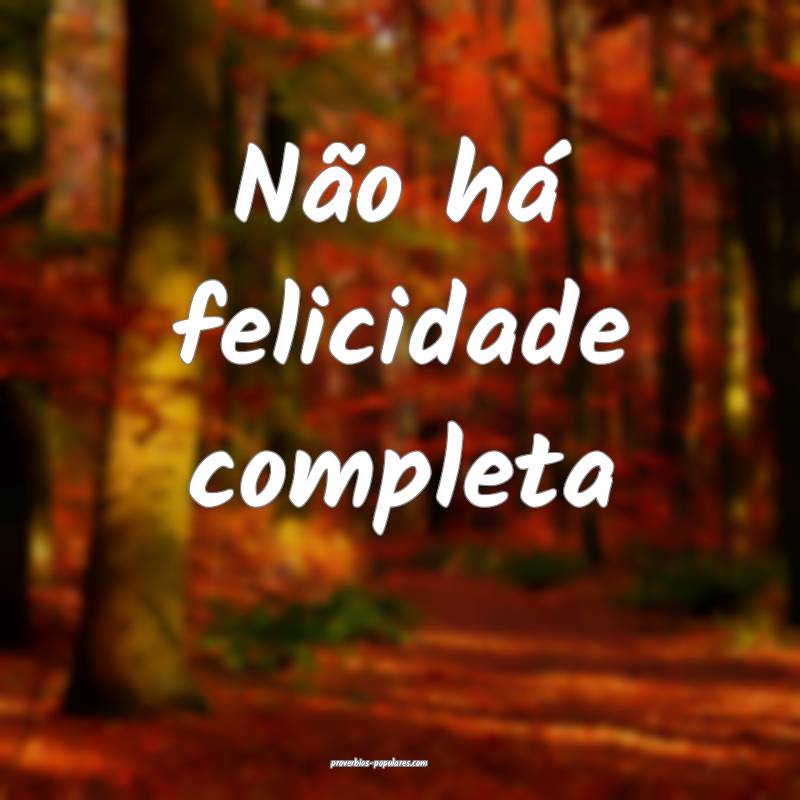 Não há felicidade completa ...