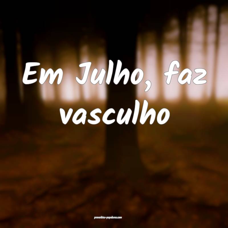 Em Julho, faz vasculho...