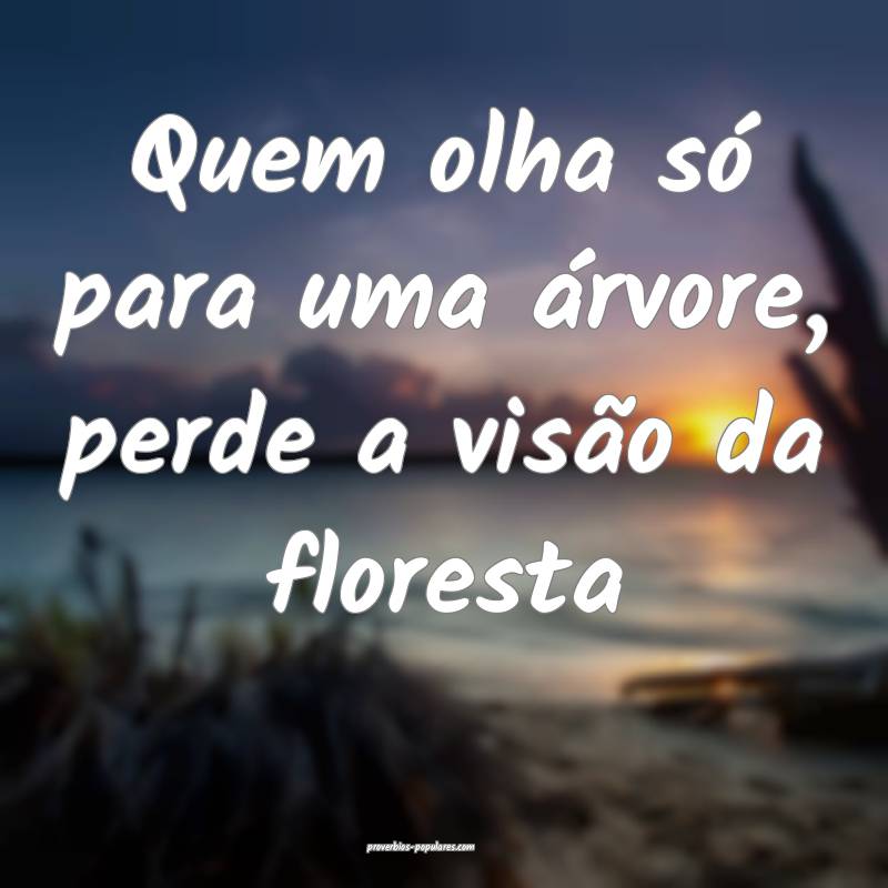 Quem olha só para uma árvore, perde a visão da floresta...