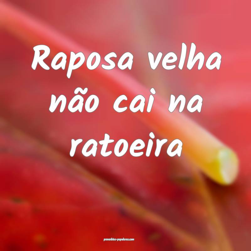 Raposa velha não cai na ratoeira...