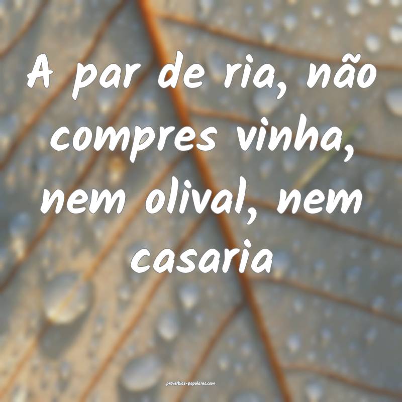 A par de ria, não compres vinha, nem olival, nem casaria...