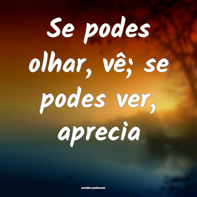 Se podes olhar, vê; se podes ver, aprecia...