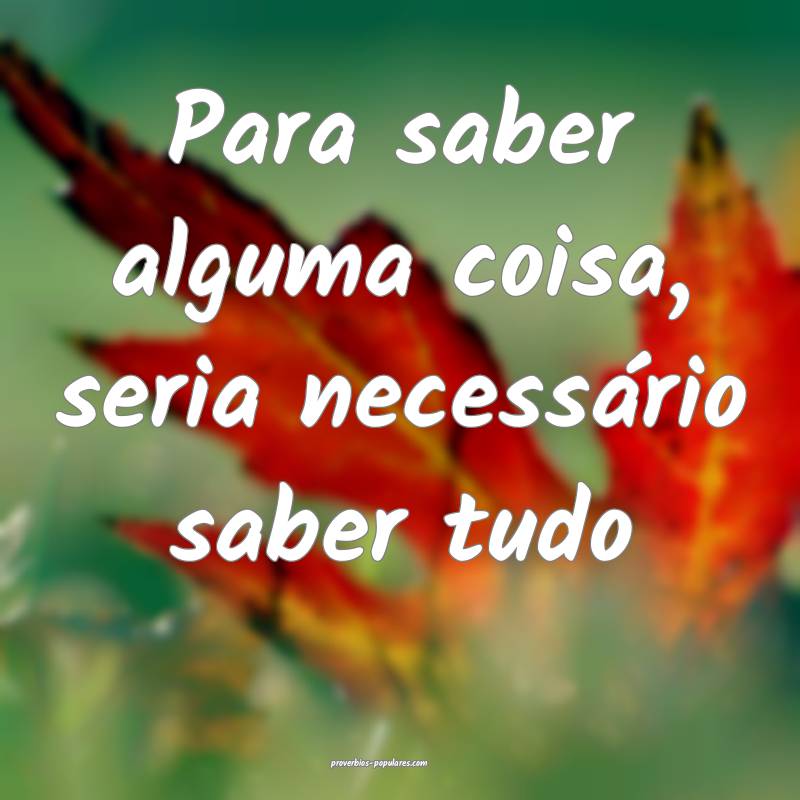 Para saber alguma coisa, seria necessário saber tudo...