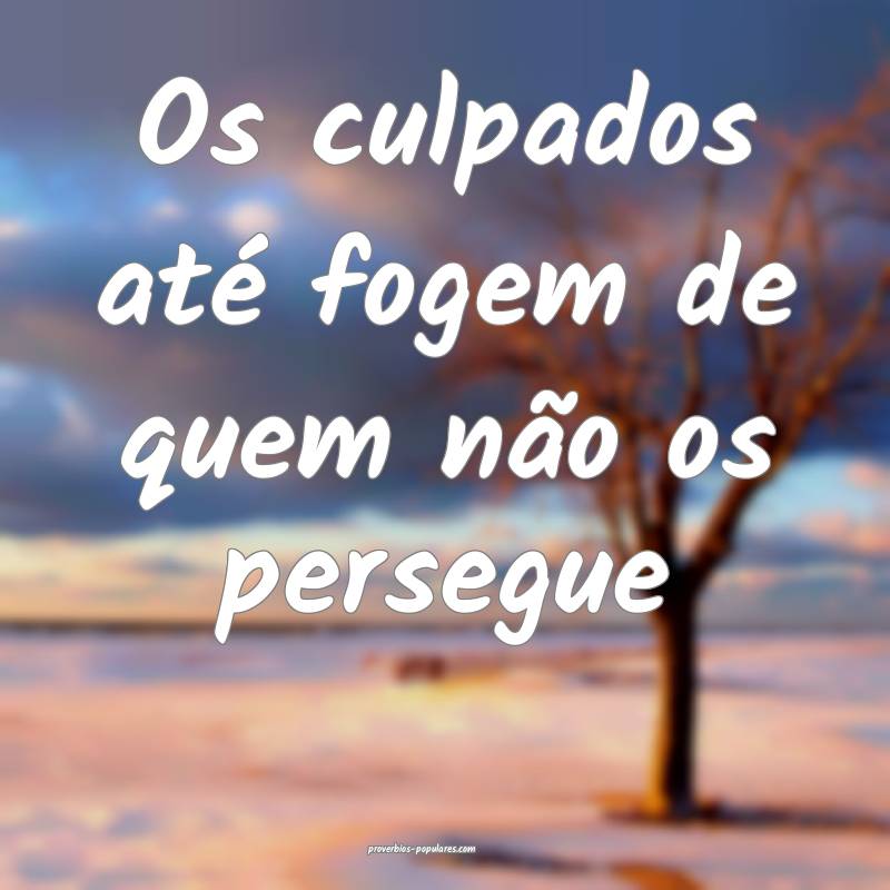 Os culpados até fogem de quem não os persegue ...