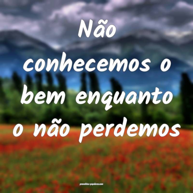 Não conhecemos o bem enquanto o não perdemos ...