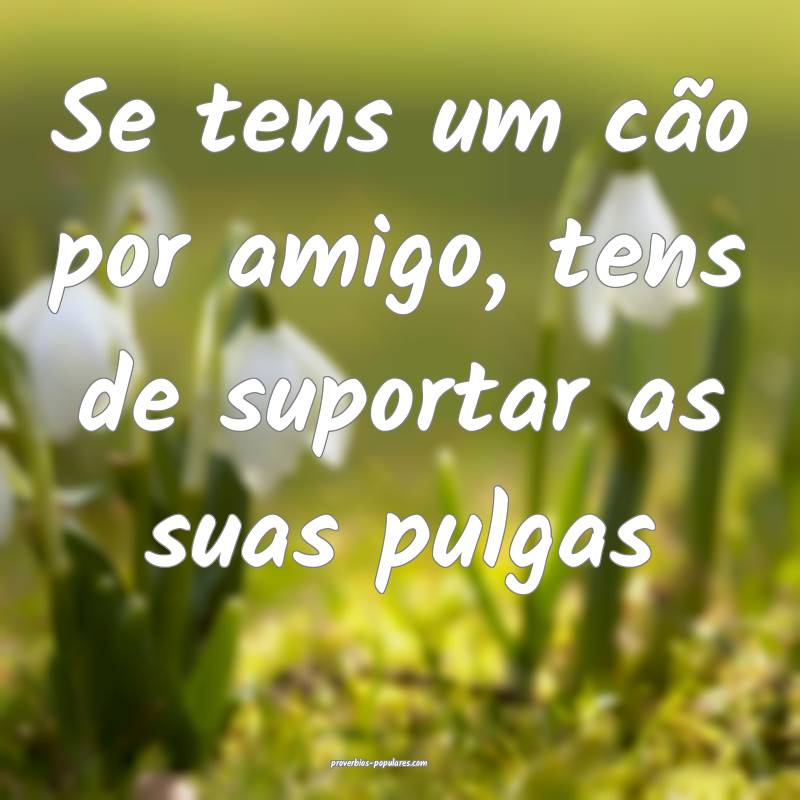 Se tens um cão por amigo, tens de suportar as suas pulgas...