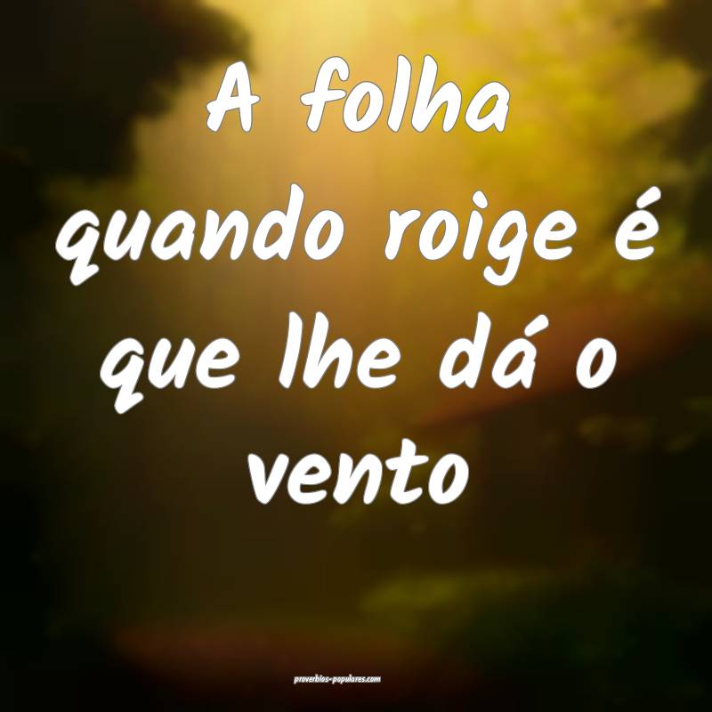 A folha quando roige é que lhe dá o vento...