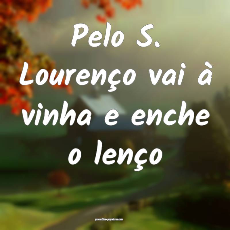 Pelo S. Lourenço vai à vinha e enche o lenço...