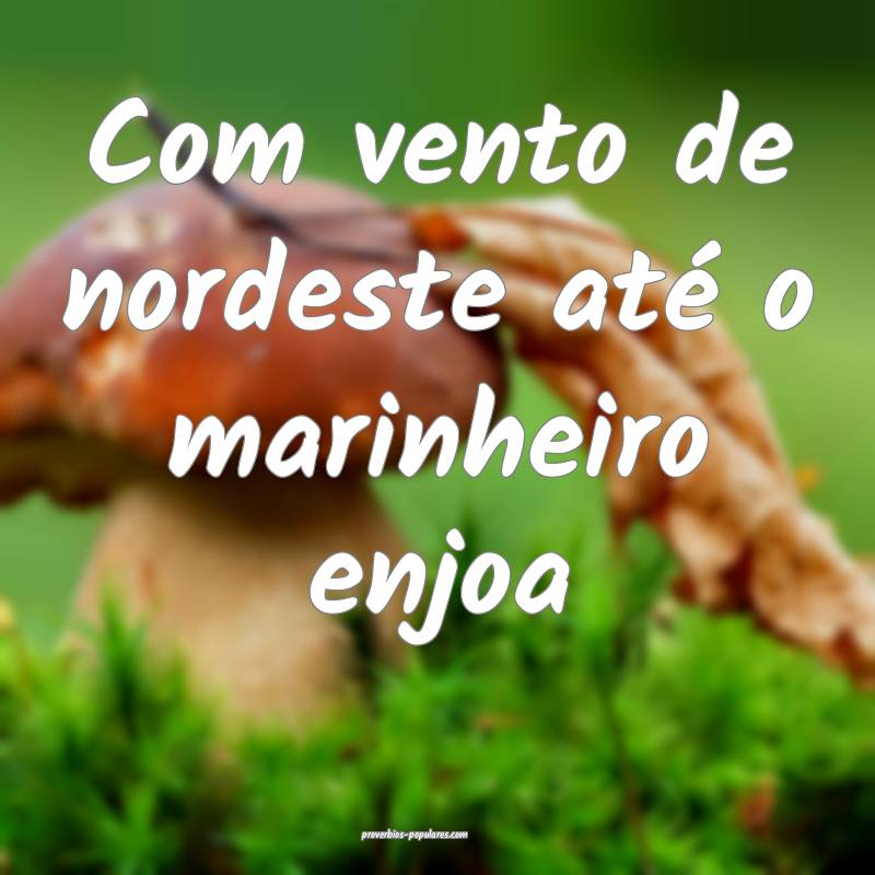 Com vento de nordeste até o marinheiro enjoa...