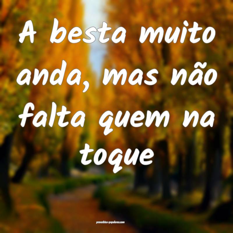 A besta muito anda, mas não falta quem na toque...