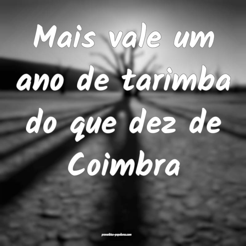 Mais vale um ano de tarimba do que dez de Coimbra...