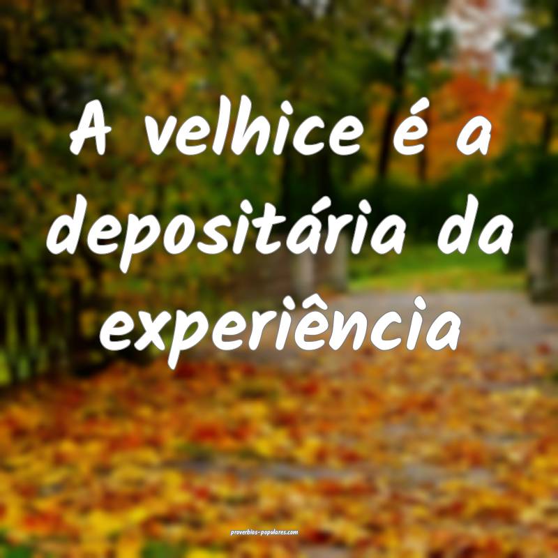 A velhice é a depositária da experiência ...