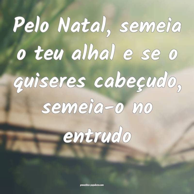 Pelo Natal, semeia o teu alhal e se o quiseres cabeçudo, semeia-o no ...