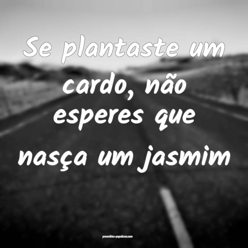 Se plantaste um cardo, não esperes que nasça um  ...