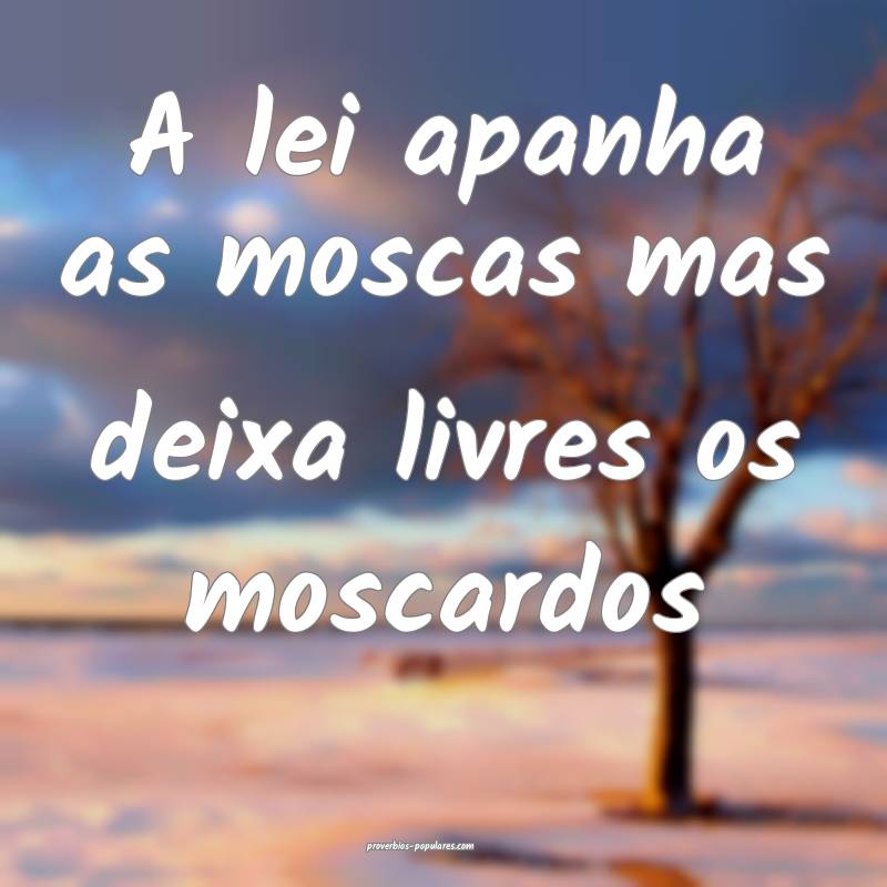 A lei apanha as moscas mas deixa livres os moscardos...