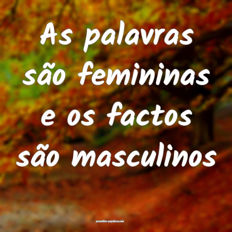 As palavras são femininas e os factos são masculinos...
