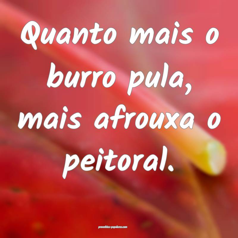 Quanto mais o burro pula, mais afrouxa o peitoral.
...