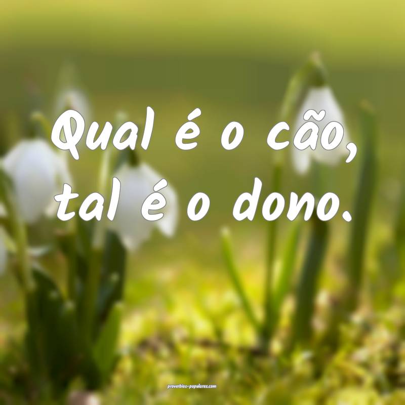 Qual é o cão, tal é o dono.
...