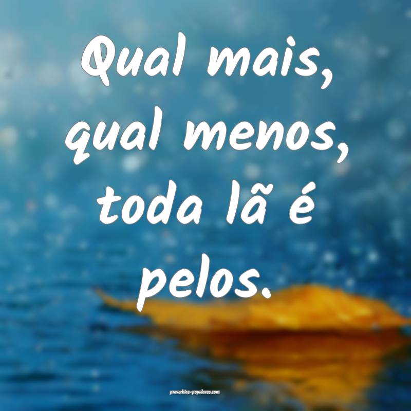 Qual mais, qual menos, toda lã é pelos.
...