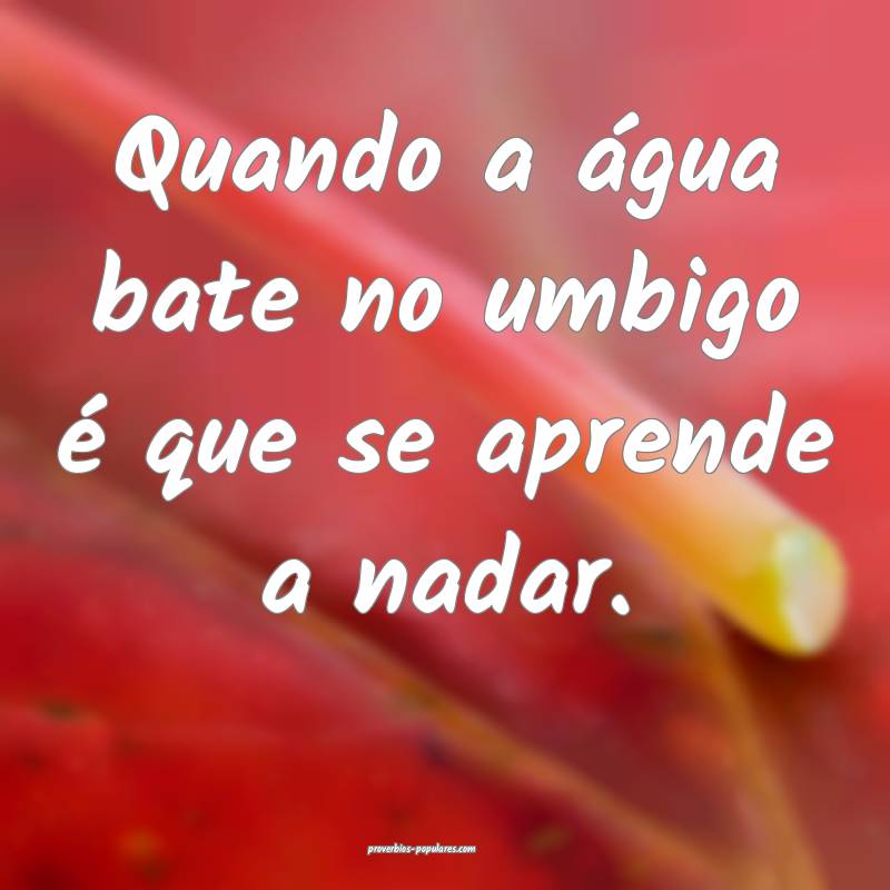 Quando a água bate no umbigo é que se aprende a nadar.
...
