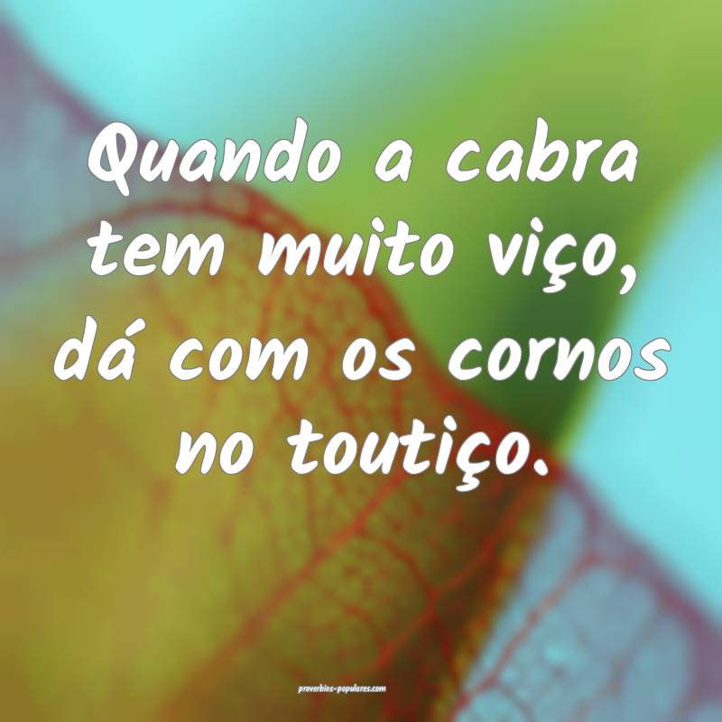 Quando a cabra tem muito viço, dá com os cornos no toutiço.
...