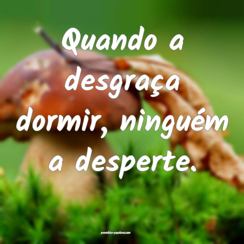 Quando a desgraça dormir, ninguém a desperte.
...