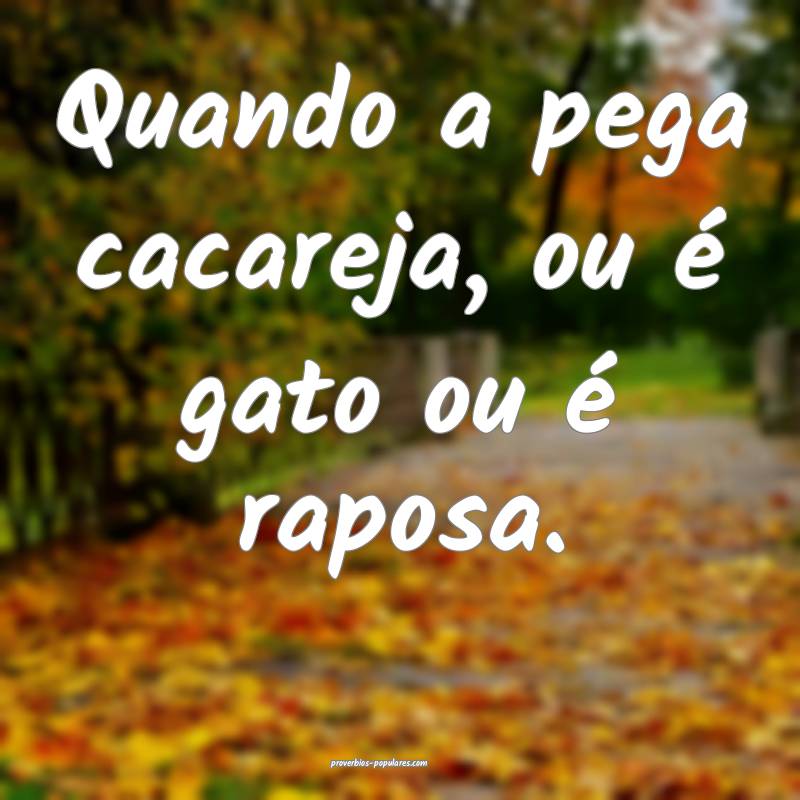 Quando a pega cacareja, ou é gato ou é raposa.
...