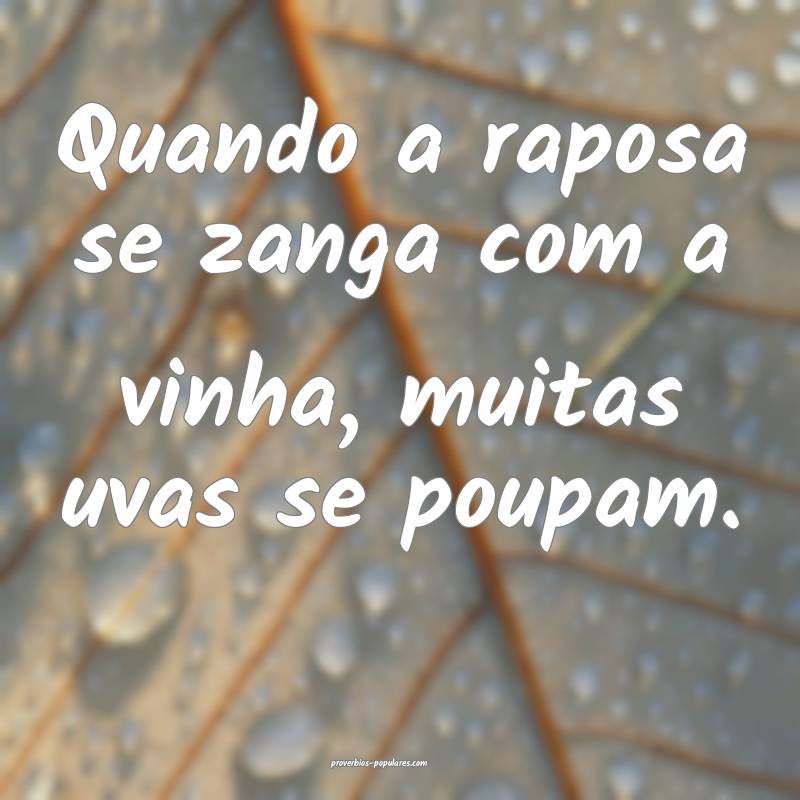 Quando a raposa se zanga com a vinha, muitas uvas se poupam.
...