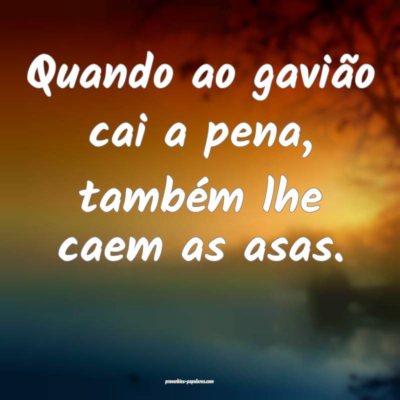 Quando ao gavião cai a pena, também lhe caem as asas.
...