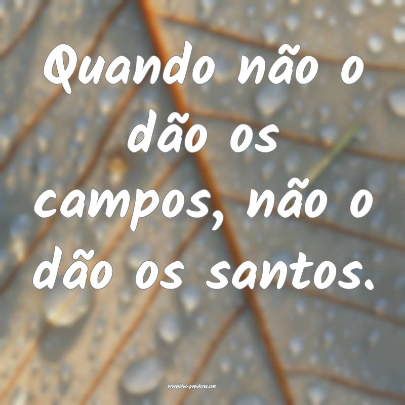 Quando não o dão os campos, não o dão os santos.
...