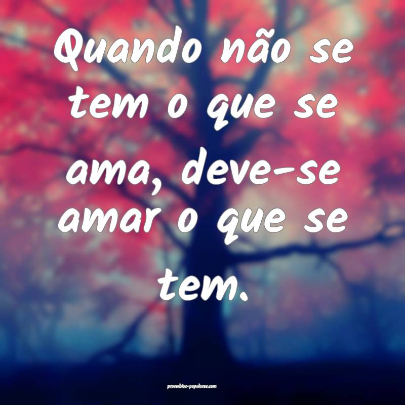 Quando não se tem o que se ama, deve-se amar o qu ...