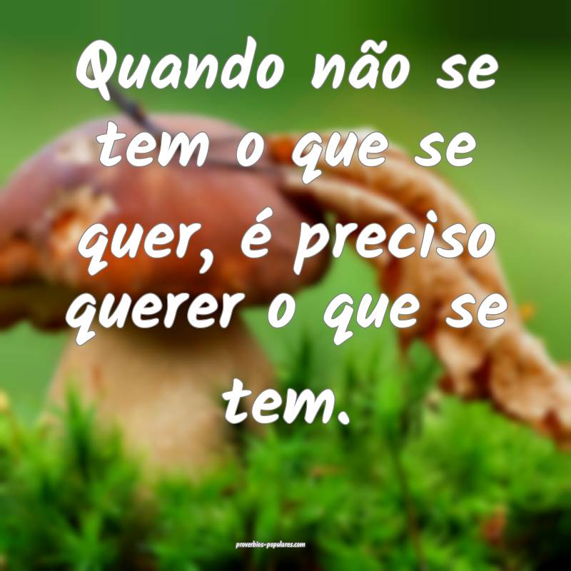Quando não se tem o que se quer, é preciso querer o que se tem.
...