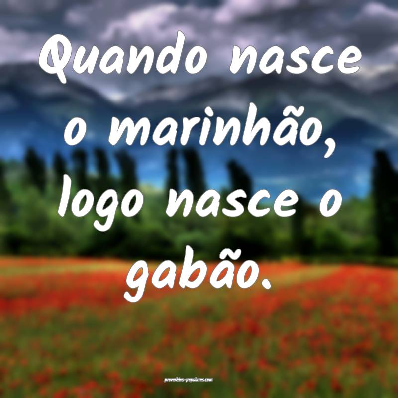 Quando nasce o marinhão, logo nasce o gabão.
...