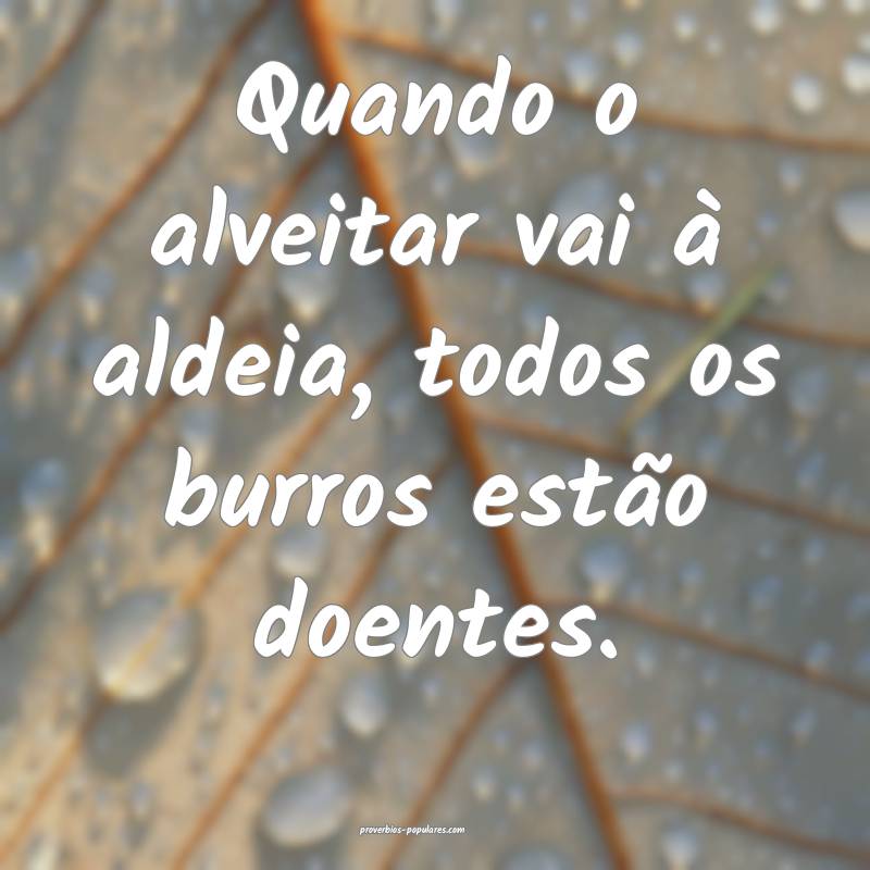 Quando o alveitar vai à aldeia, todos os burros estão doentes.
...