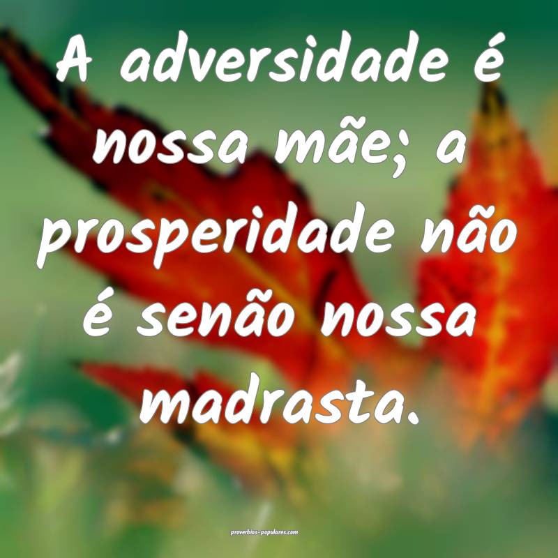 A adversidade é nossa mãe; a prosperidade não é senão nossa madra...