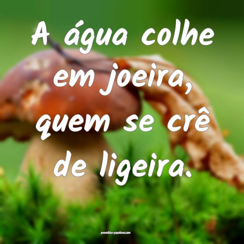 A água colhe em joeira, quem se crê de ligeira.
...