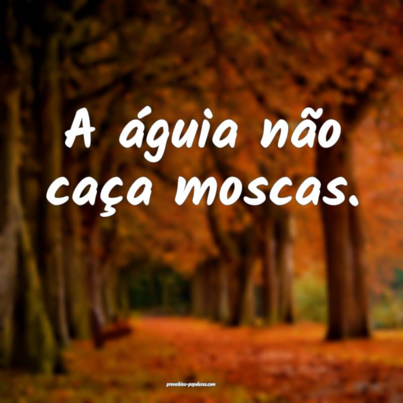 A águia não caça moscas.
 ...