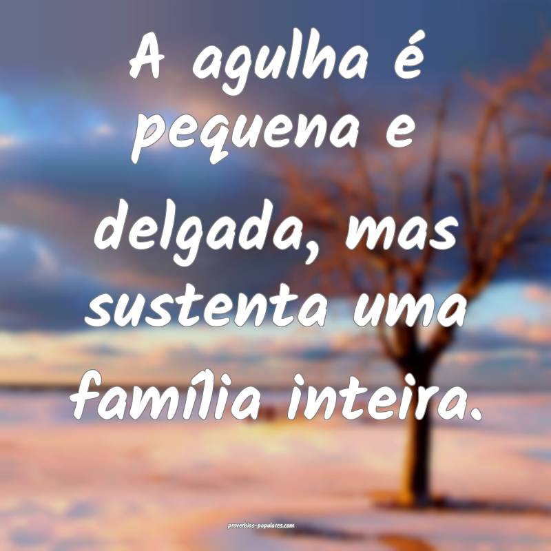 A agulha é pequena e delgada, mas sustenta uma fa ...