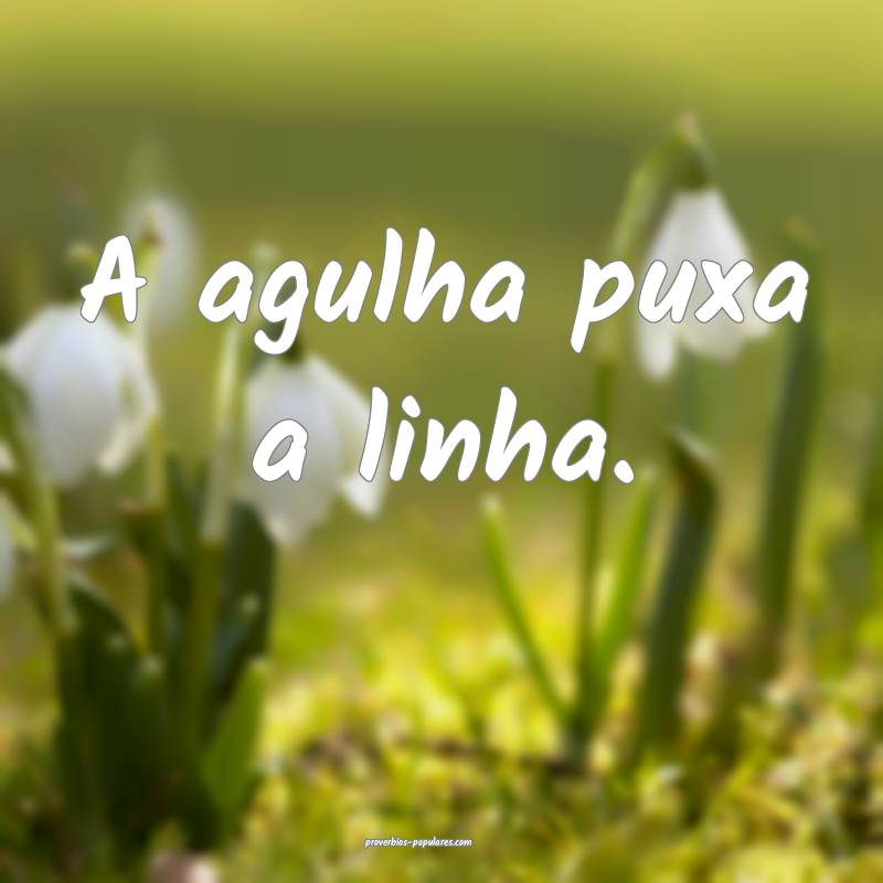 A agulha puxa a linha.
...