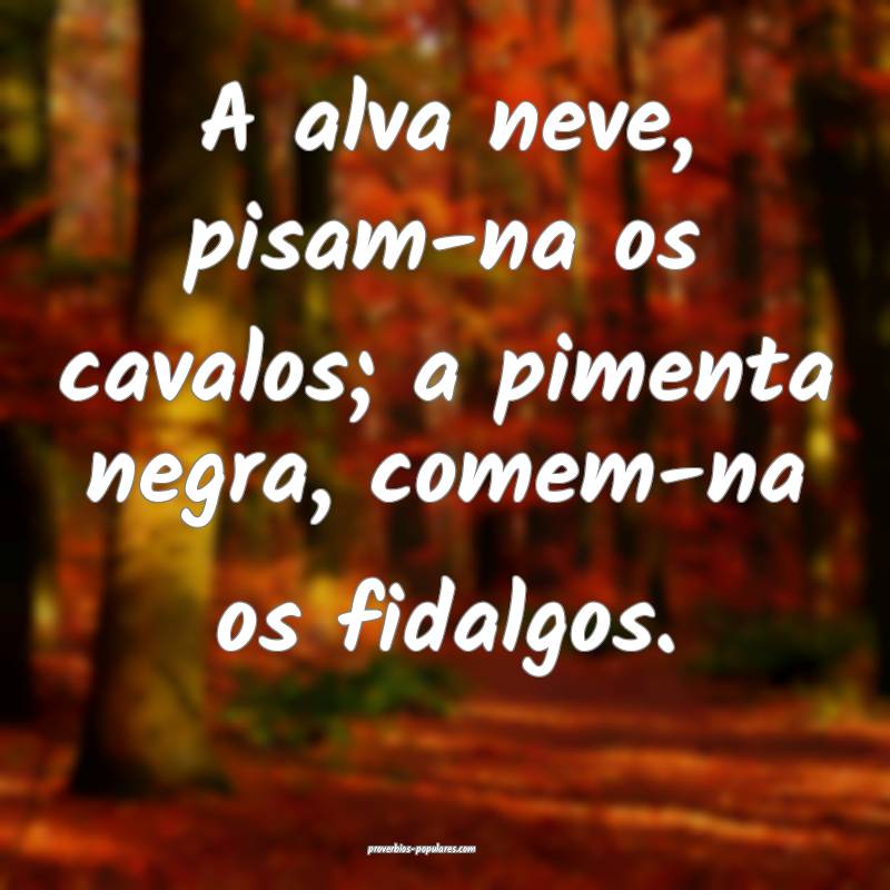 A alva neve, pisam-na os cavalos; a pimenta negra, comem-na os fidalgo...