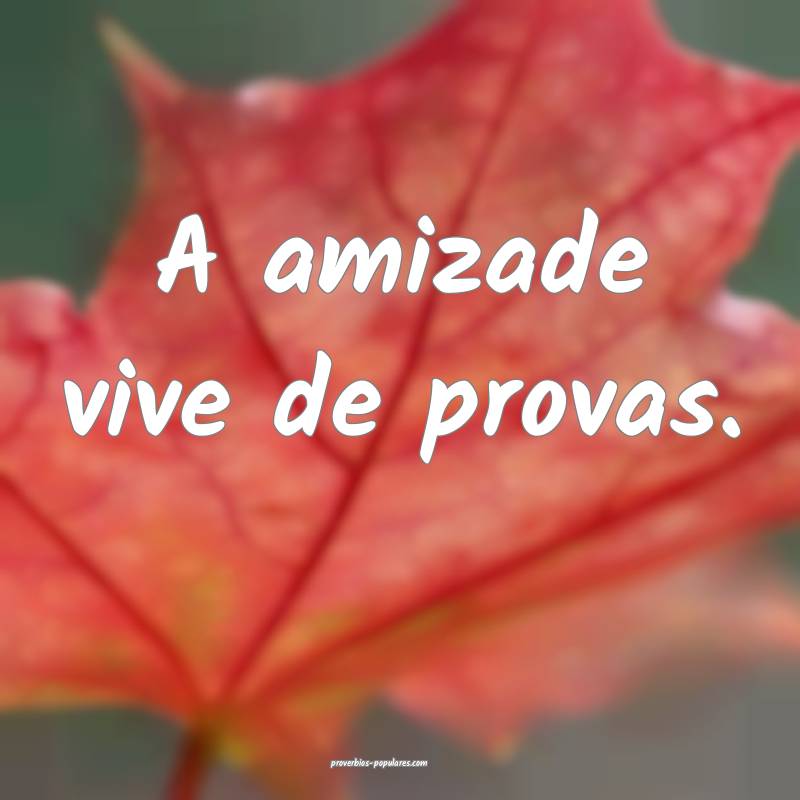A amizade vive de provas.
...