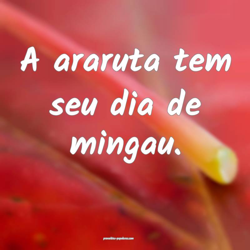 A araruta tem seu dia de mingau.
...