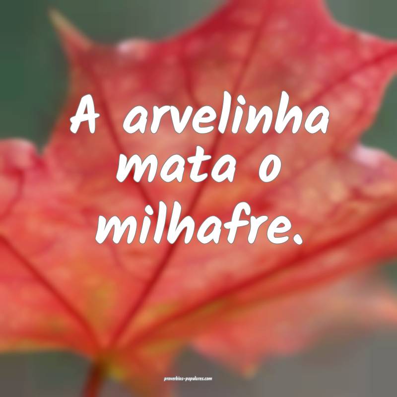 A arvelinha mata o milhafre.
...