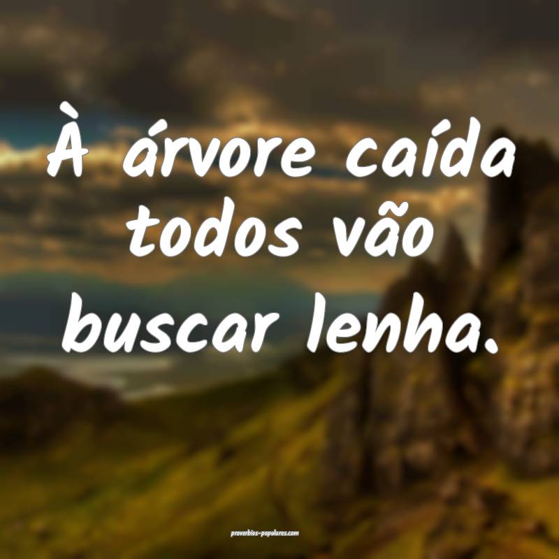 À árvore caída todos vão buscar lenha.
...