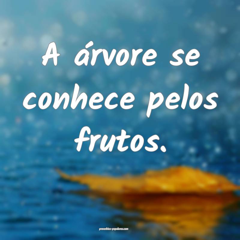 A árvore se conhece pelos frutos.
...