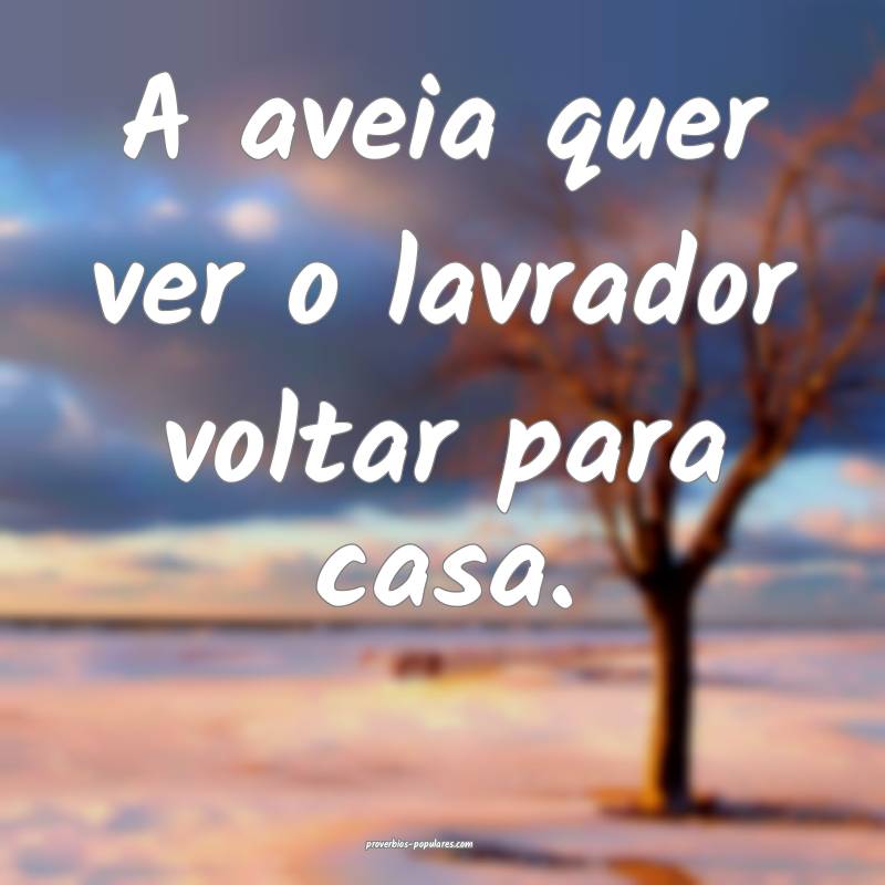 A aveia quer ver o lavrador voltar para casa.
 ...