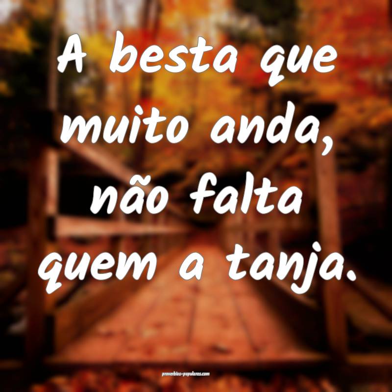 A besta que muito anda, não falta quem a tanja.
 ...