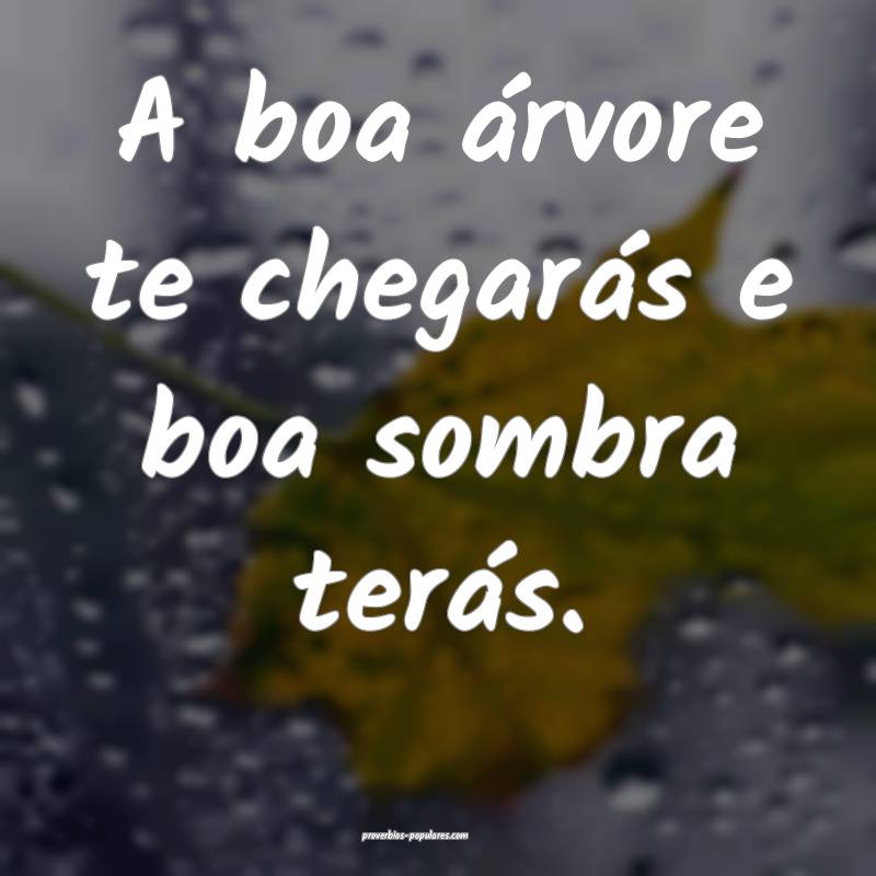 A boa árvore te chegarás e boa sombra terás.
...