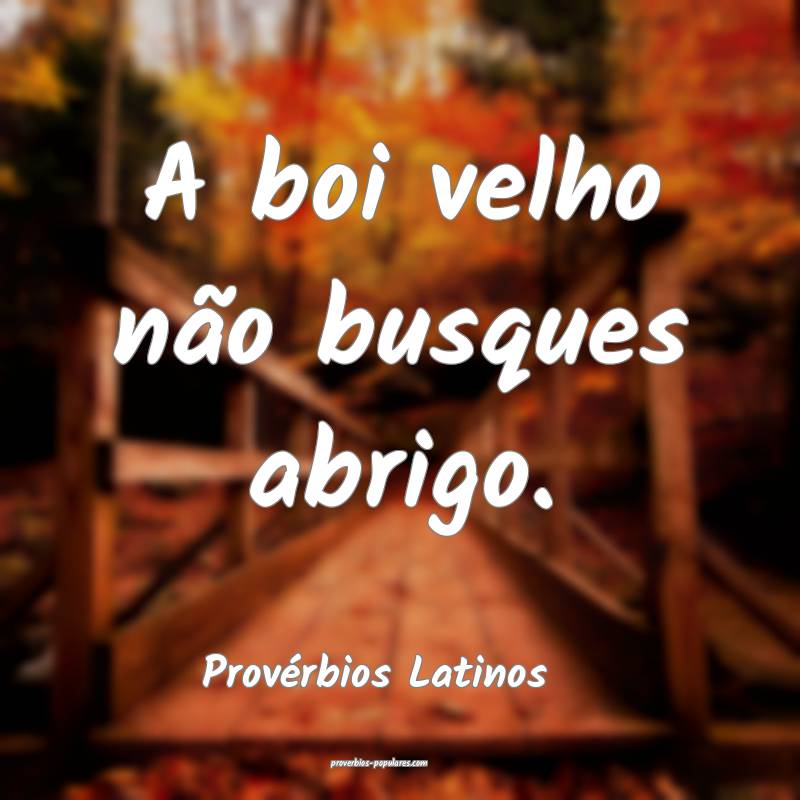 A boi velho não busques abrigo.
...