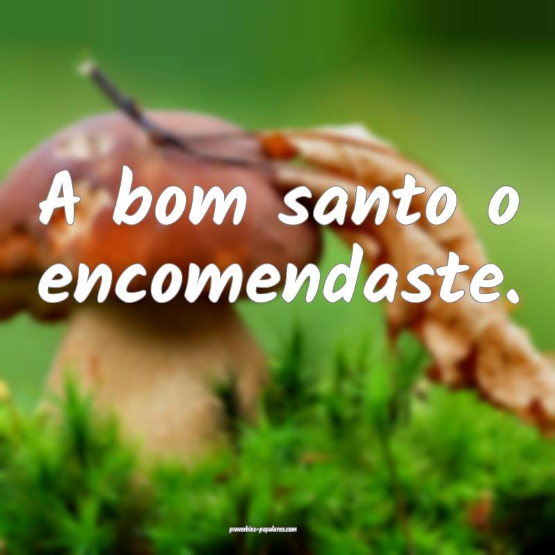 A bom santo o encomendaste.
...